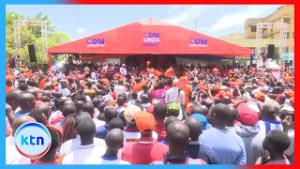 Relief for Sifuna: Tribunal halts removal of ODM secretary general Edwin Sifuna