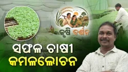 ସଫଳ ଚାଷୀ କମଲଲୋଚନ | Polyhouse Nursery Farming | Krishi Darshan | DD Odia