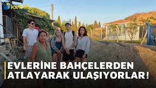 THEY REACH THEIR HOMES BY JUMPING THROUGH GARDENS!