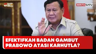 Atasi Karhutla, Efektifkah Badan Pengelolaan Gambut Bentukan Presiden Prabowo? #Beritasatu