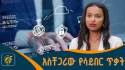 የሳይበር ደህንነት እና ተያያዥ ጉዳዮች በባለሙያ ዕይታ