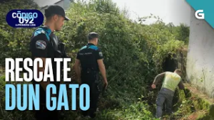 RESCATE dun GATO | CÓDIGO 092