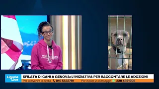 Dog parade in Genoa to promote adoptions: the Monte Contessa kennel initiative