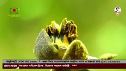 সারাদেশে ২০ হাজার কৃষি উদ্যোক্তা তৈরির উদ্যোগ নিয়েছে সরকার