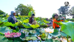 วันเสาร์นี้ ! “โต๋นแตร-จุกบี้” ลุยนาบัวนนทบุรี ในรายการ เกษตรสุข