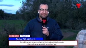 Via 15 03 02 26 Tastar l'Oli com el Vi