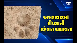 અમદાવાદના સાણંદના મોટી દેવતી ગામે દીપડાના સગડ! વન વિભાગ સતર્ક, પાંજરું મૂકાયું