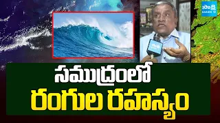 Sea Water Changes Color | Scientists Explain Sea Water Changes Color | @SakshiTV
