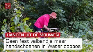 Flink aan de slag in het bos in plaats van feesten