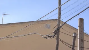 El abandono sin freno de Coslada: enganches ilegales, cortes de luz y calles degradadas