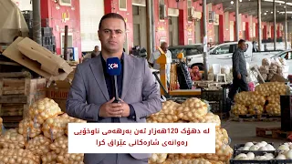 لە دهۆک 120هەزار تەن بەرهەمی ناوخۆیی رەوقانی شارەکانی عێراق دەکرێت