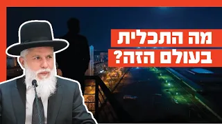 Rabbi Zamir Cohen - What is the purpose of this world?