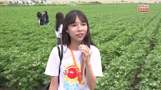 廣播處長率太陽計劃交流團訪新疆　有團員稱親身接觸棉田增認識