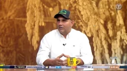 Siembra de arroz ha bajado este año a 55,000 hectáreas, confirma productor