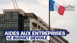 Between 60 and 166 Billion Euros in Business Subsidies