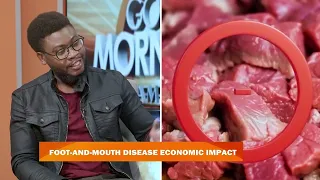 GMN INTERVIEW | FMD OUTBREAK THREATEN'S NAMIBIA'S LIVESTOCK ECONOMY - nbc