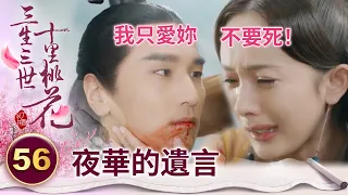 情深意重！太子臨死前竟然還想著跟老婆解釋誤會 甚至希望老婆跟情敵在一起？！【三生三世十里桃花】精華 EP56-6 楊冪、趙又廷、迪麗熱巴、高偉光、張智堯 @ctvdrama_classic