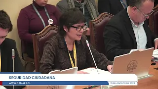 Comisión de Seguridad Ciudadana - Miércoles 19 agosto 2026