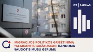 Imigracijos politikos griežtinimą palaikantis Gaižauskas: bandoma naudotis mūsų gerumu