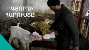 Ձորագյուղի « եվրոֆերմերը»