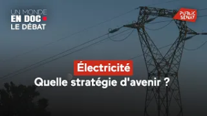 Électricité : Quelle stratégie d’avenir ?