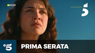 L'erede - Venerdì 31 luglio, in prima serata su Canale 5