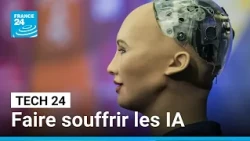 Chambre de "torture" pour intelligence artificielle : quand l'homme s'égare • FRANCE 24