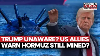 Trump’s Hormuz Claim Challenged? US Allies Warn Strait May Still Be Mined By Iran | What We Know