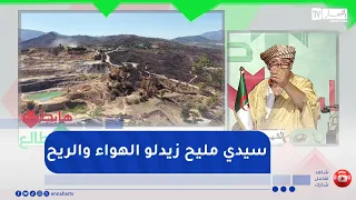 Sheikh En-Noui: Watch.. A public landfill in the middle of the Blidean Atlas forests