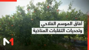 آفاق الموسم الفلاحي وتحديات التقلبات المناخية .. توضيحات محمد بنعبو