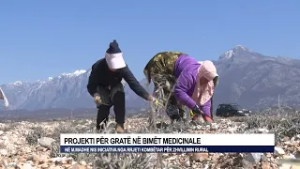 Projekti për gratë në bimët medicinale