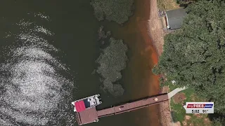 Invasive species of hydrilla causing problems at High Rock Lake