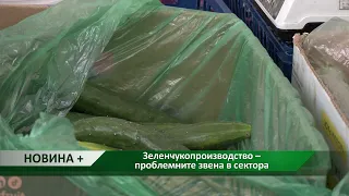 Новина плюс: Зеленчукопроизводство – проблемните звена в сектора