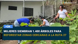 Teletica.com