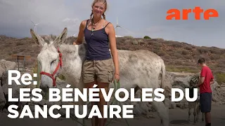 Tenerife : le refuge des amoureux des bêtes | ARTE Regards