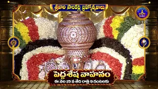 PROMO || PEDDA SESHA VAHANAM || SRIVARI SALAKATLA BRAHMOTSAVAMS -2026 || SVBC TTD