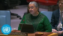 Libya: Political Progress, Rising Living Costs & Migrant Rights - Briefing | United Nations