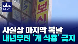 "Last Dog Days of Summer"... Geongangtang Restaurant 'Sighs' 260814