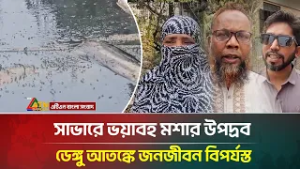 সাভারে ভয়াবহ মশার উপদ্রব, ডেঙ্গু আতঙ্কে জনজীবন বিপর্যস্ত | ATN Bangla News