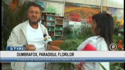 DUMBRAFOX, THE FLOWER PARADISE