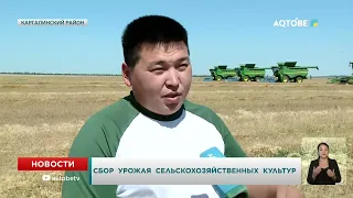 Harvesting crops