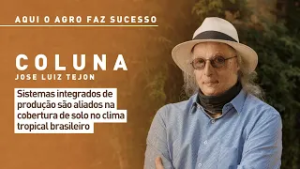 Aqui o Agro Faz Sucesso: Sistemas integrados de produção são aliados na cobertura de solo
