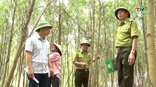 When the Forest Opens the Way to the World