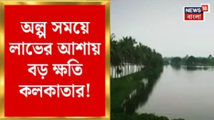 Kolkata News | পূর্ব কলকাতার জলাজমি বুজিয়ে নির্মাণ! বিপদে কলকাতার কিডনি! | Bangla News