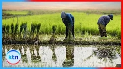 Bura Farmers Turn to Irrigation and Modern Technology to Boost Production