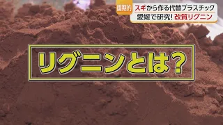 A New Plastic Alternative Made from "Cedar" in Kihoku, Ehime! "Modified Lignin"
