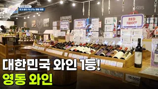 [신선행] 대한민국 와인 1등! 영동 와인 [생방송 굿모닝 대한민국] | KBS 260828 방송