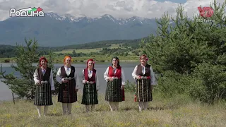 ЖФГ "Детелини", с. Бачево - "Соптисай си сине, невестата"
