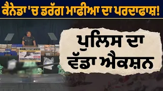 ਕੈਨੇਡਾ 'ਚ ਡਰੱਗ ਮਾਫੀਆ ਦਾ ਪਰਦਾਫਾਸ਼ ! ਪੁਲਿਸ ਦਾ ਵੱਡਾ ਐਕਸ਼ਨ