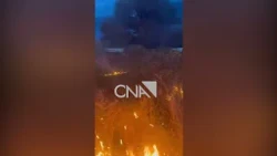 Zjarr në afërsi të Liqenit të Viroit/ Marrin flakë kullotat